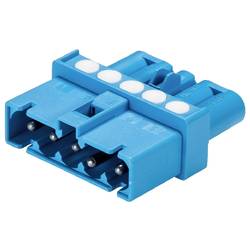 Wieland Electric 91.050.6153.0 Verteiler