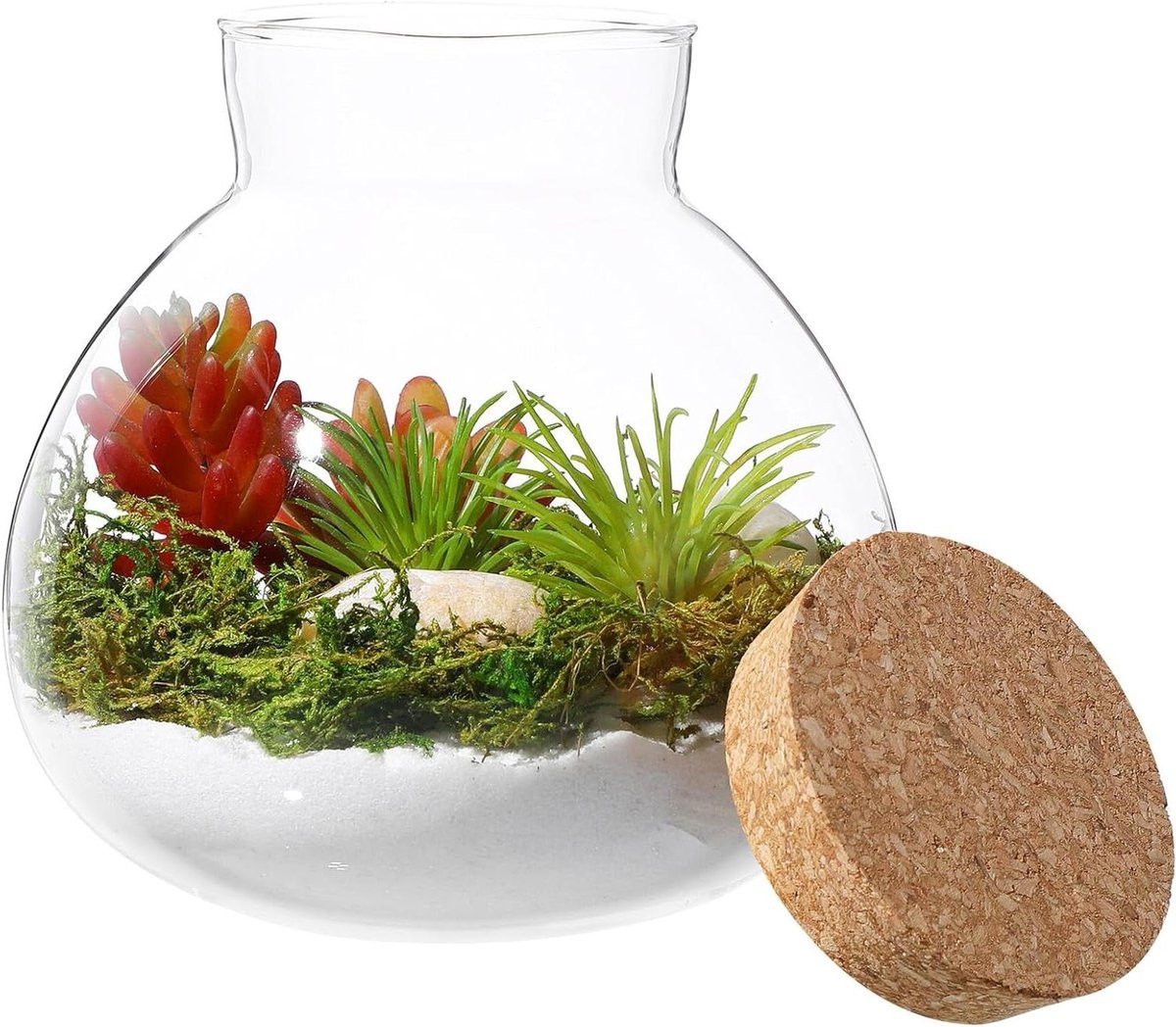 Glazen Terrarium Fles met Kurk Deksel - Transparante Mini Tuin Pot - 15 x 16 cm