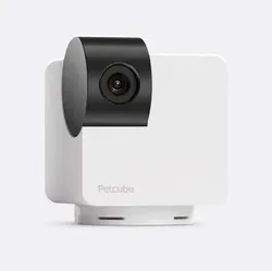 Petcube Cam 360 Box IP-Sicherheitskamera Drinnen 1920 x 1080 Pixel Tisch/Bank