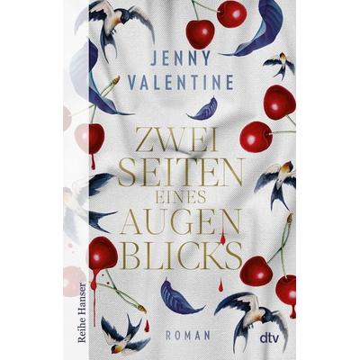 Zwei Seiten eines Augenblicks, Taschenbuch von Jenny Valentine, dtv
