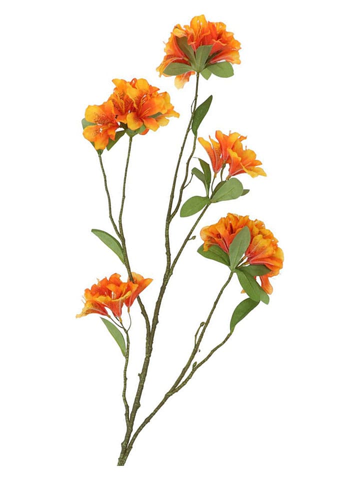 daan kromhout Dekozweig "Azalea" in Orange - (H)110 cm - onesize