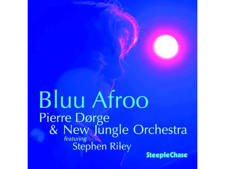 Pierre Dorge and his New Jungle Orchestra - Bluu Afroo