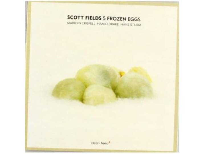 5 Frozen Eggs