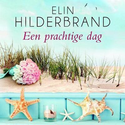 Een prachtige dag - Elin Hilderbrand, Audio, 9789463638395