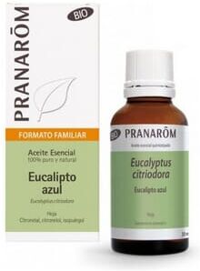 Pranarom Óleo Essencial de Eucalipto Azul Folha Bio