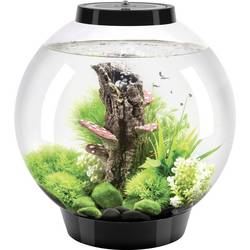 Oase 72005 biOrb CLASSIC 30 LED schwarz Aquarium 30 l mit LED-Beleuchtung