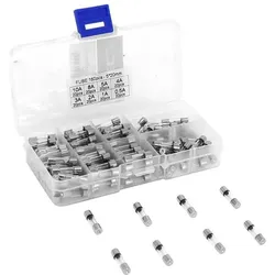 P2R, Sicherung, Box mit 160 runden Glassicherungen Panache (0.50 A)