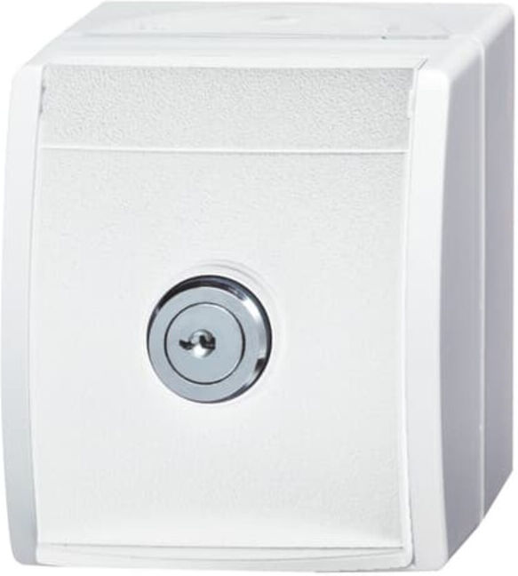 Busch-Jaeger Prise SCHUKO 20 EWSL-101-54 (2CKA002083A0833)
