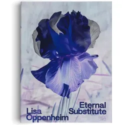 Lisa Oppenheim: The Eternal Substitute, Fachbücher von Darsie Alexander, Bettina Steinbrügge, Lauren Cornell, Jacob Proctor