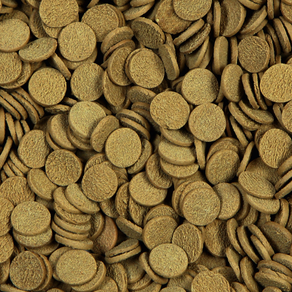 3,8 litri 1,7 kg sera Pond Sterlet Chips Nature Alimento Mangime Completo Affondante per Grandi Storioni da laghetto