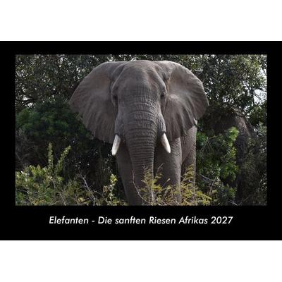Elefanten - Die sanften Riesen Afrikas 2027 Fotokalender DIN A3