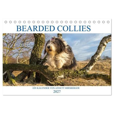BEARDED COLLIES 2027 (Tischkalender 2027 DIN A5 quer), CALVENDO Monatskalender