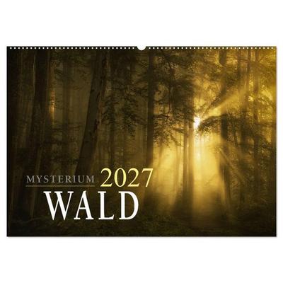 Mysterium Wald (Wandkalender 2027 DIN A2 quer), CALVENDO Monatskalender