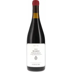 Morei Teroldego Vigneti delle Dolomiti IGT Foradori 2022 BIO