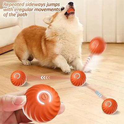 Interaktiver Hundeball, geeignet für Welpen, kleine und mittelgroße Hunde sowie Haustiere/Katzen. Startet automatisch, anregend, unterhaltsam und hilft gegen Langeweile. Rollender, quietschender Ball
