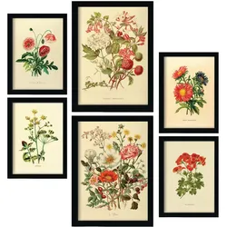 POSTER Set Mit 6 Blumensträuße 1 In Vintage A3 & A4 Rahmenlos