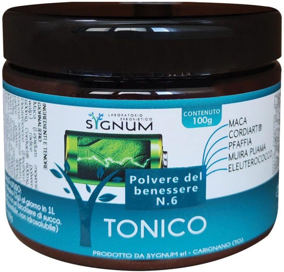 SYGNUM srl POLVERE BENESSERE N6 100G