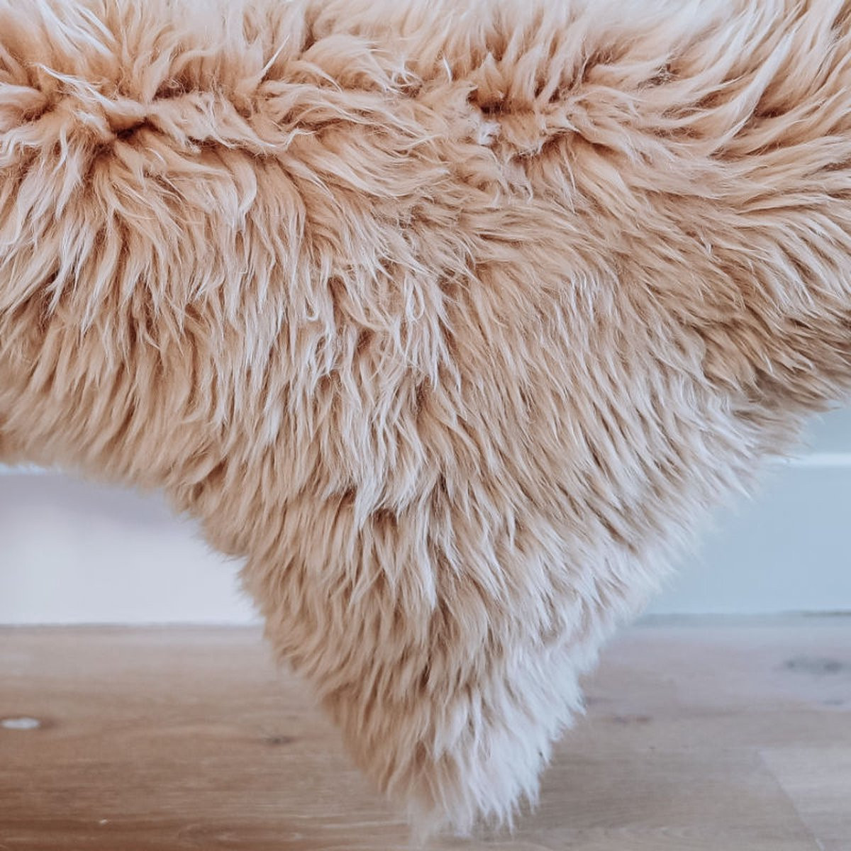 Echte schapenvacht Beige XL uit Nieuw-Zeeland van 100% wol