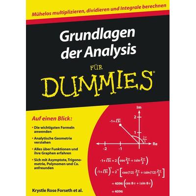 Grundlagen der Analysis für Dummies, Taschenbuch von Krystle Rose Forseth,Christopher Burger,Michelle Rose Gilman,Deborah J. Rumsey,Mark Ryan,