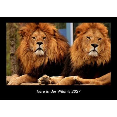 Tiere in der Wildnis 2027 Fotokalender DIN A3