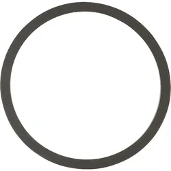 Dichtring für Brauchwasserpumpen Vortex und Grundfos