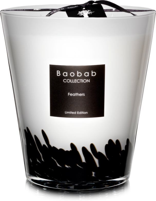 Baobab Collection Feathers bougie parfumée 1000 g