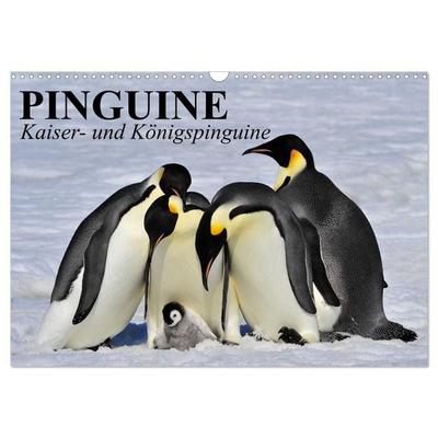 Pinguine - Kaiser- und Königspinguine (Wandkalender 2027 DIN A3 quer), CALVENDO Monatskalender