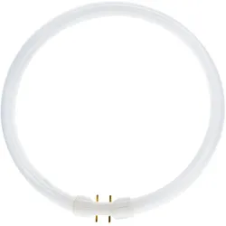 Philips, Leuchtmittel, Master TL5 Circular (2GX13, 5000 lm, 1x)