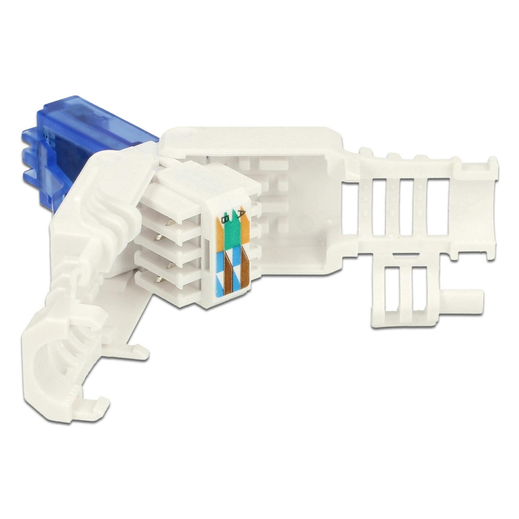 Delock RJ45 Stecker, UTP, Cat.6A, 2 Stück (Netzwerkkabel Stecker) (86417)
