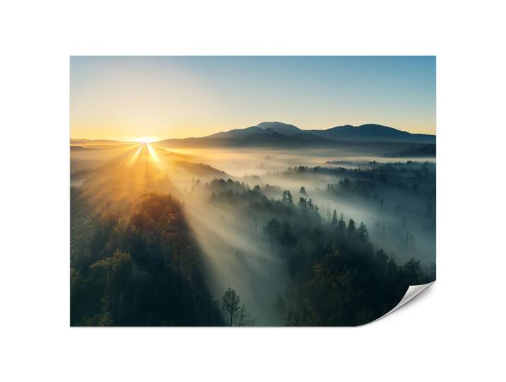 Muralo Fototapete für Wohnzimmer Sonnenaufgang über Bergigen Nadelwald Gold 300x210, Gelb, Braun, Grau, Papier, Sonne/Sonnenaufgang/Sonnenuntergang, Baum/Pflanze/Natur, Rechteckig, 300x210 cm, Tapeten & Wandverkleidungen, Fototapeten