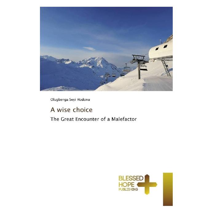 Various Publishers A wise choice (Englisch, Softcover, Olugbenga Seyi Hodonu) (55937140)