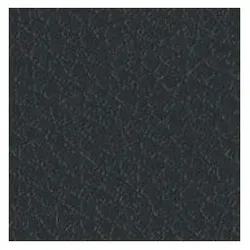 Fortis, Bits, Bes.-Stuhl ISO K.leder schw./schw. (Bit-Halter)