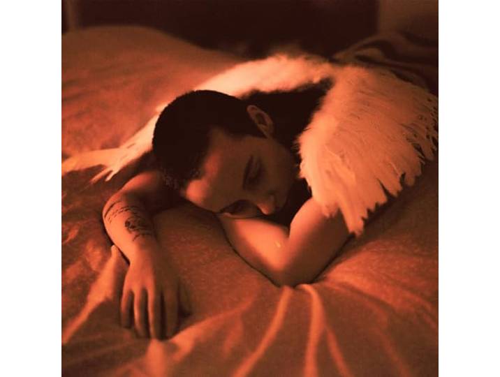 Midnight Butterflies