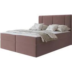 BOXBETT Michelle 180x200 - H3