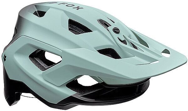 FOX Fahrradhelm Speedframe Pro grau   L B