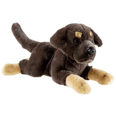 Heunec PUPPY Labrador liegend