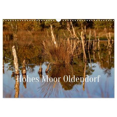 Hohes Moor Oldendorf (Wandkalender 2027 DIN A3 quer), CALVENDO Monatskalender
