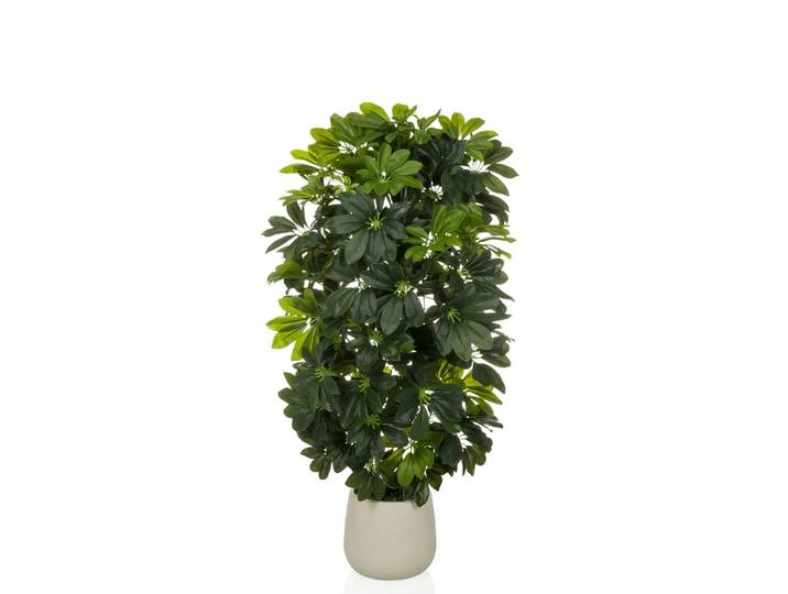 Plante Artificielle / Arbre Artificiel Schefflera 2 Rayons 110 Cm Plastique Vert Hjh Office