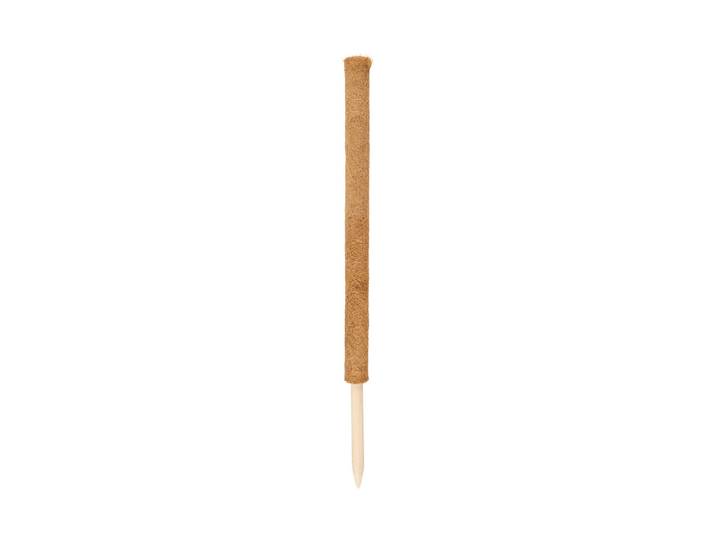 Windhager Pflanzenstab Kokos 80 cm
