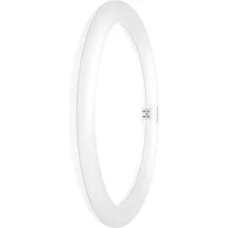 Ledvance LED-Ring-TubeT9C f.KVG/VVG TUBET9CEMV3218.3W865