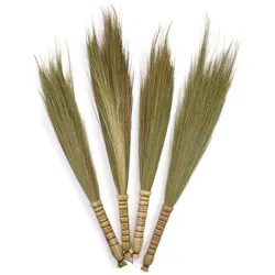 Set 4 - Pampas Broom - Natural