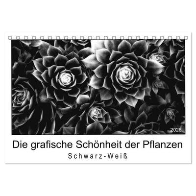 Die grafische Schönheit der Pflanzen – Schwarz-Weiß (Tischkalender 2026 DIN A5 quer), CALVENDO Monatskalender