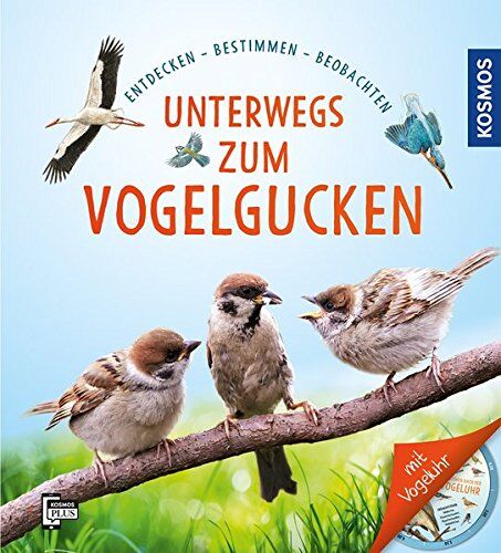 Daniela Strauß - Unterwegs zum Vogelgucken: Entdecken, Bestimmen, Beobachten (Mein erstes...) - Preis vom 09.10.2026 07:28:09 h