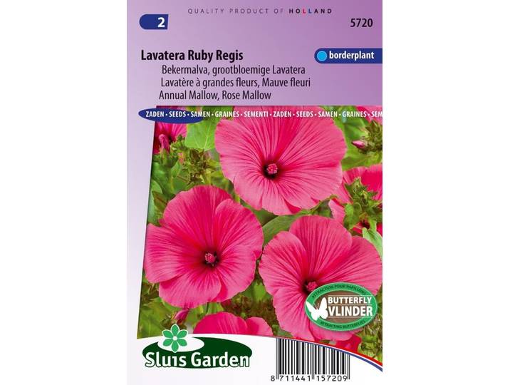 Lavatera Trimestris zaden Ruby Regis