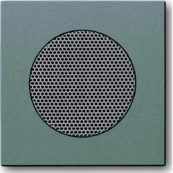 Busch-Jaeger Zentralscheibe meteor/grau für EB-Lautsprecher 8253-803