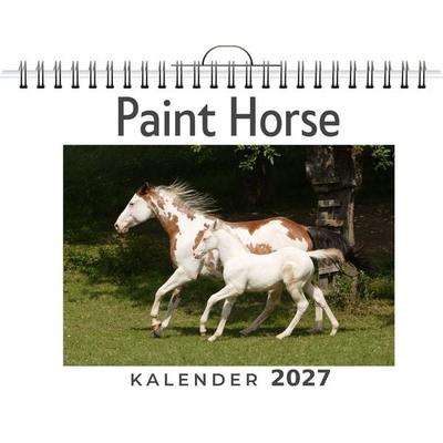 Paint Horse