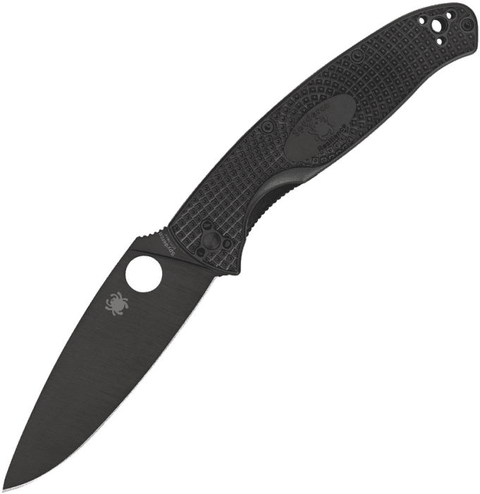 Spyderco Resilience 142PBBK Linerlock