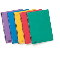 Clairefontaine 10x Europa Notemaker, Doppelspiralheft A4, 60 Blatt liniert abtrennbar - Sortierung A 4860Z