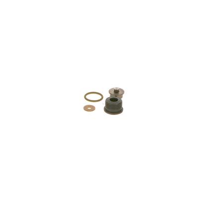 BOSCH Reparatursatz, Common-Rail-System F 00N 202 418