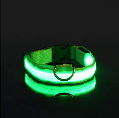 Inspire Essentials GlowGuard LED Dog Leash And Collar Set l green